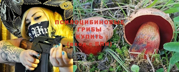 бошки Верея