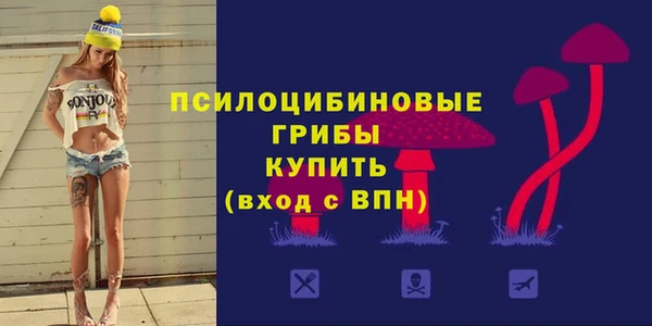 бошки Верея