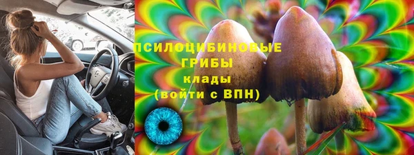 бошки Верея