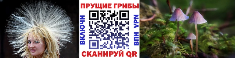 Галлюциногенные грибы Magic Shrooms  Павловск 